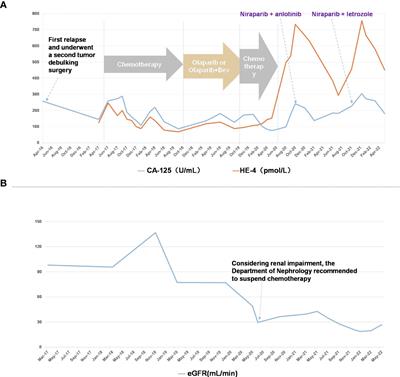 Exploration of chemotherapy-free regimen after multi-line chemotherapy-induced renal impairment in recurrent ovarian cancer: Case report and literature review